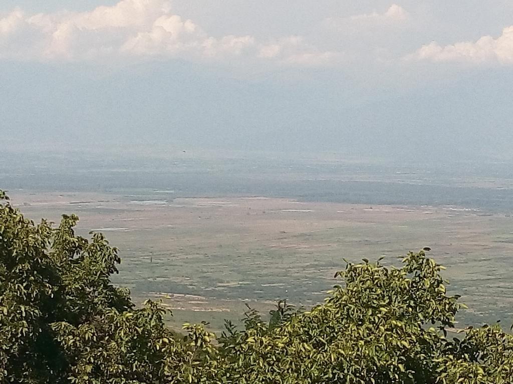 Temuka Otel Siğnaği Oda fotoğraf